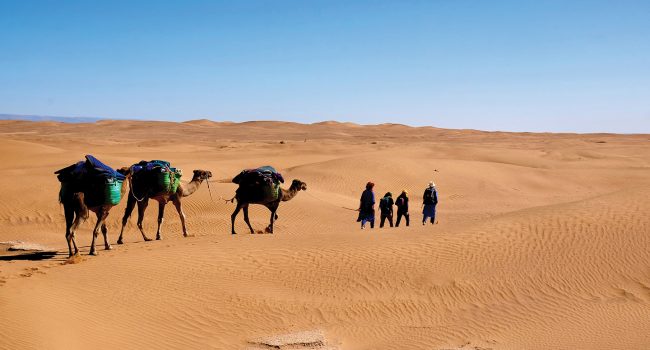En randonnée dans le désert marocain
