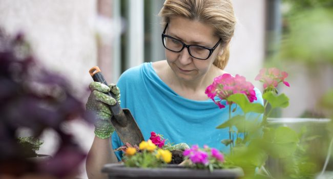 Jardinage de balcon en 5 leçons 