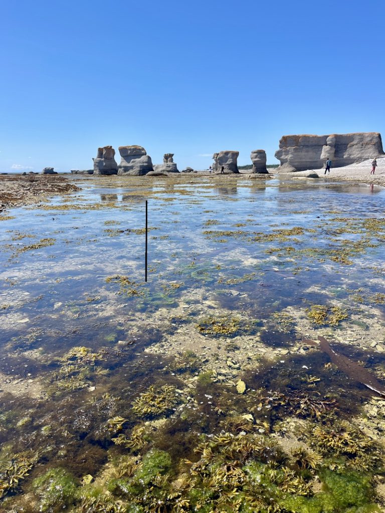 Photo des monolithes de l'île Quarry.