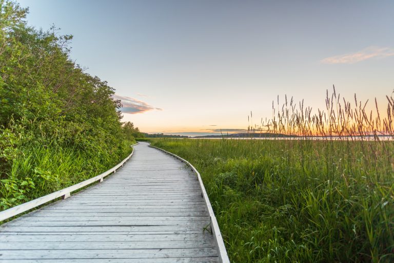 4 expériences nature en milieu urbain