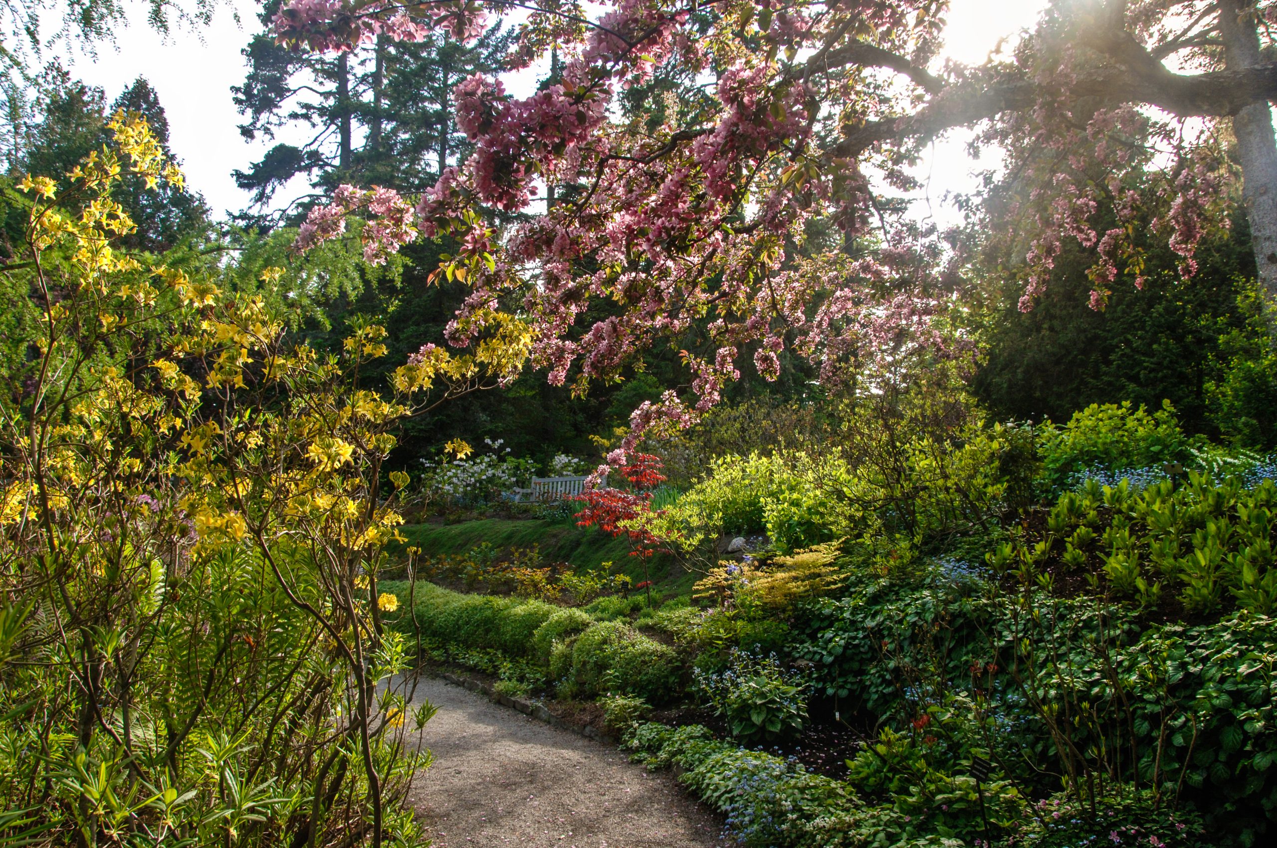 Le Festival international de jardins se tient sur le site des Jardins de Métis.