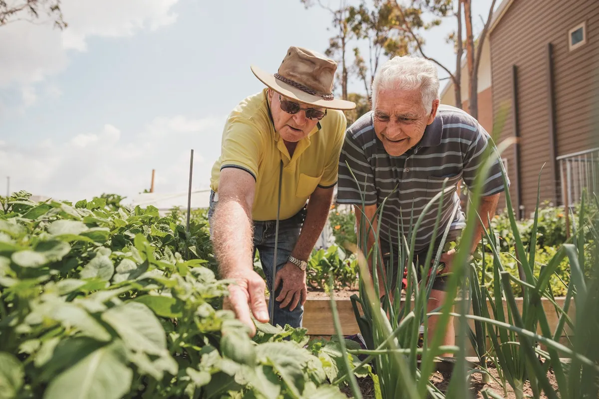 Deux jardiniers âgés regardent des plantes dans un jardin.