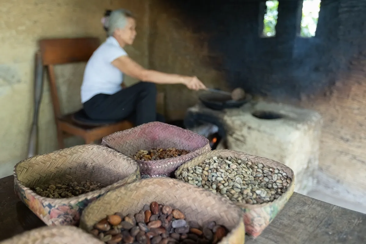 Femme balinaise faisant griller des grains de café dans une plantation de café Luwak, à Bali, en Indonésie.