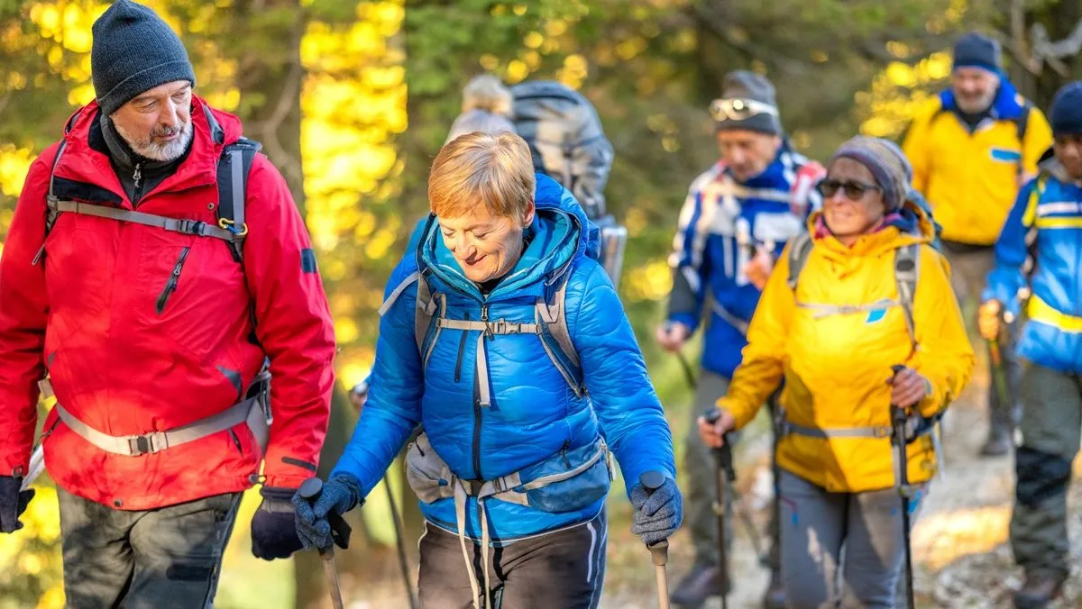 Randonnée en groupe dans une forêt aux couleurs d’automne, avec sacs à dos et bâtons de marche.